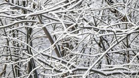 Strongest in series of winter storms to impact Eastern US with snow, rain from Texas to Northeast