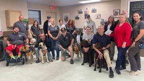 Old Glory Service Dogs 4 Veterans delivers canine companion to Army vet who now serves Clay County Fire Rescue