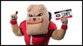 New specialty Florida license plate: University of Georgia Dawgs