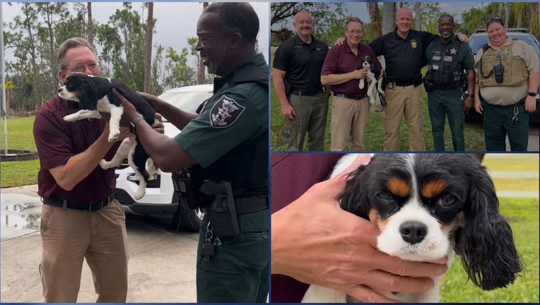 WOFL- Dog reunited with owners