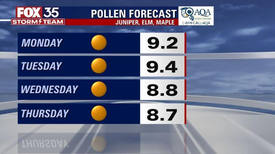 POLLEN.jpg