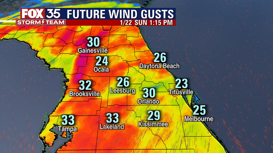 a0b3374c-TROPICAL_WINDS-EURO.png
