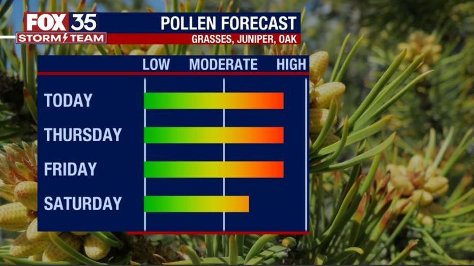 pollen-1.jpg