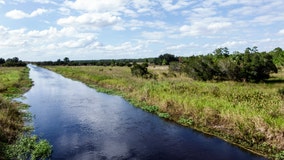 Florida fishermen find hand in canal, but it didn't belong to a human