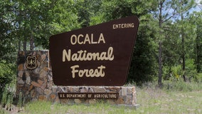 U.S. Navy conducting tests with live bombs in Ocala National Forest