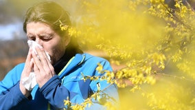 Here are the worst spring allergens that will make you cough, sneeze and rub your watery eyes