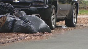 Daytona Beach residents want speed bumps installed after a 2-year-old was struck by car