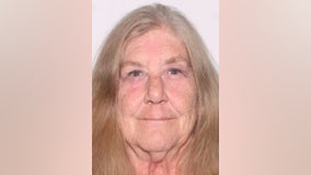 Florida deputies searching for woman who went missing after car broke down a week ago