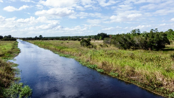 Florida fishermen find hand in canal, but it didn't belong to a human