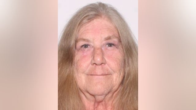Florida deputies searching for woman who went missing after car broke down a week ago