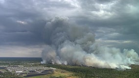 Florida Agriculture Commissioner Simpson warns of wildfire threat