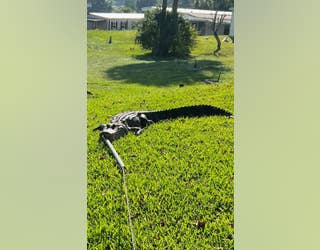 40d78718-