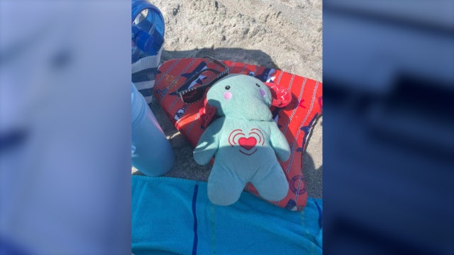 Find Bruce: Family desperate to find stuffed elephant with son's ashes inside