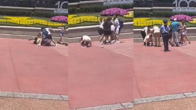Walt Disney World fight video: Brawl at Magic Kingdom started over photo op disagreement