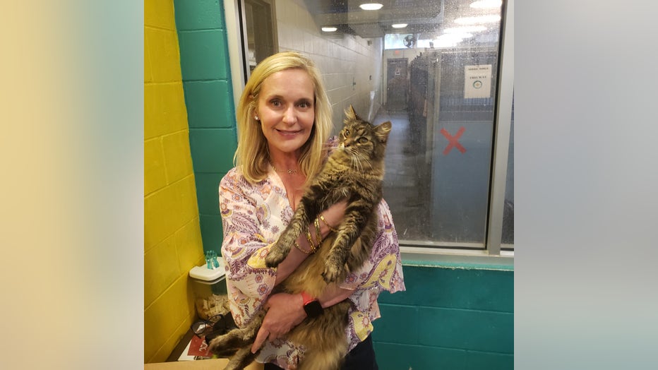 cat-with-angela.jpg