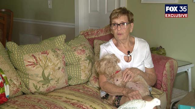 Florida woman, 80, said she fended off ferocious dogs that attacked her dog on a walk