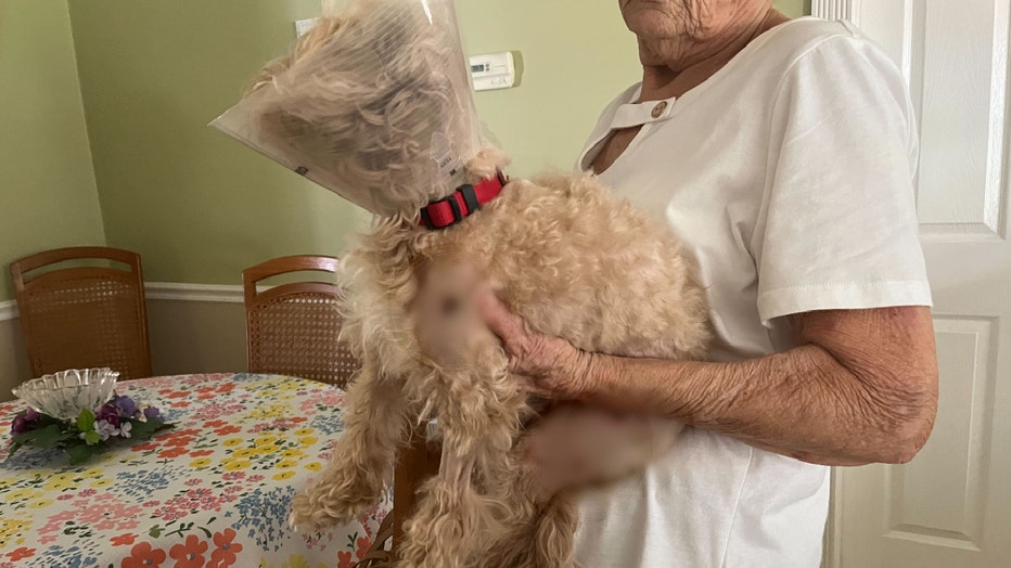 WOFL-Melbourne-woman-and-dog-mauled-by-dogs1.jpg