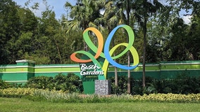 Busch Gardens Tampa Bay to close early Tuesday as Idalia approaches Florida