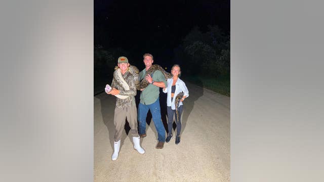 UCF freshman catches 16-foot python in Florida Everglades