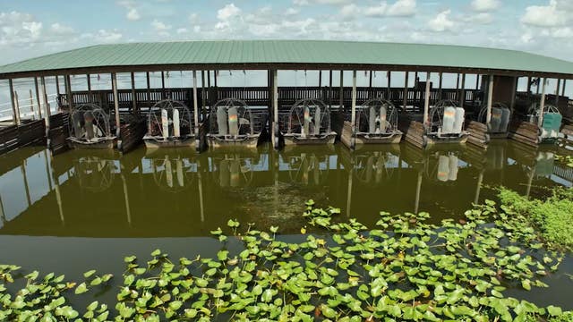 Wild Florida airboat crash: 13 hurt after 2 airboats collide during tour