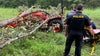 Tree falls on man riding tractor in Gainesville, police say