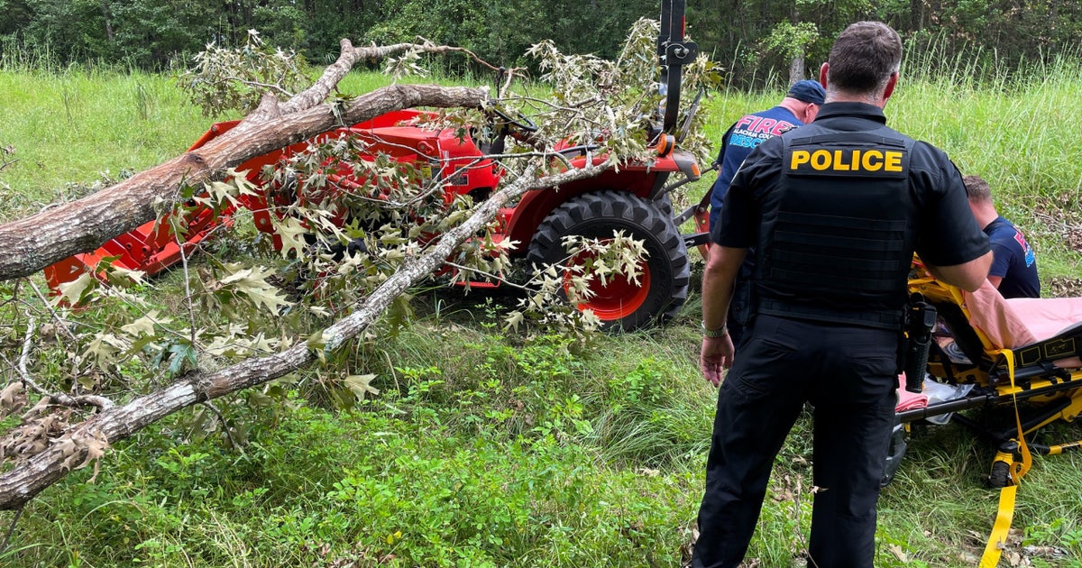 Tree falls on man riding tractor in Gainesville, police say | FOX 51 ...