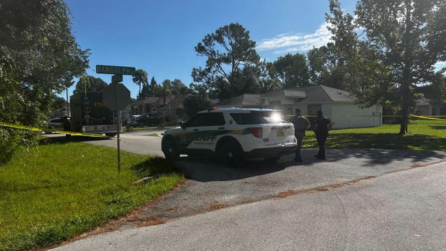 1-year-old girl shot and killed at Palm Coast home, person of interest in custody: Florida deputies