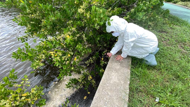'Pretty alarming': New test results from Space View Park worry researchers about water quality