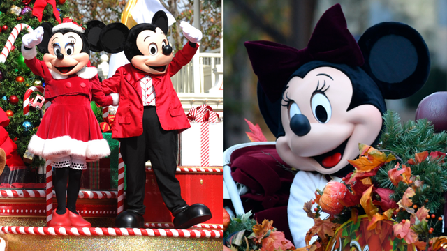 Walt Disney World unwraps exclusive offer for Florida residents ahead of busy holiday season