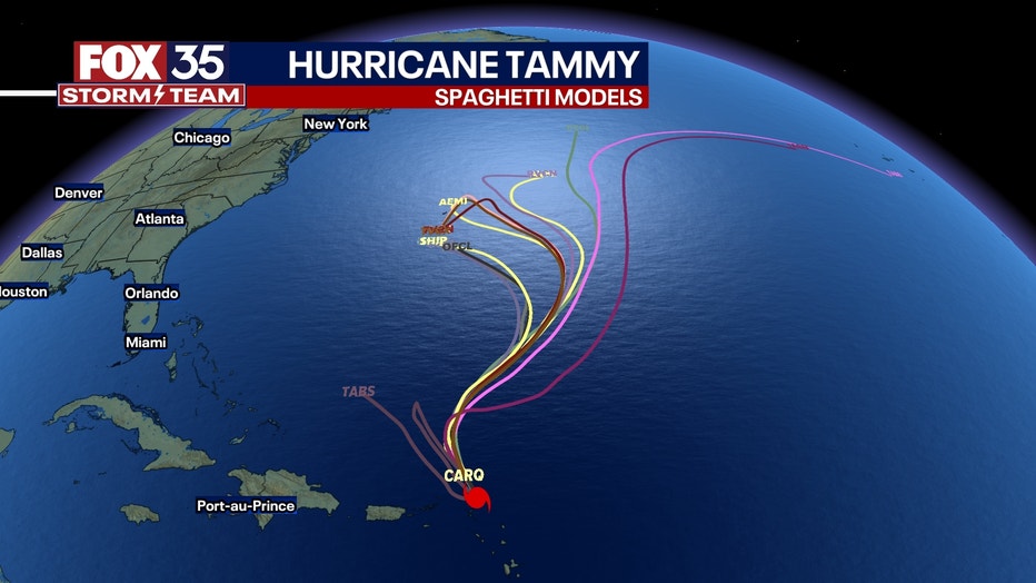 Tammy-models.jpg