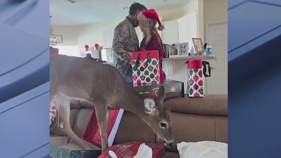 WOFL-pet-deer-euthanized2.jpg