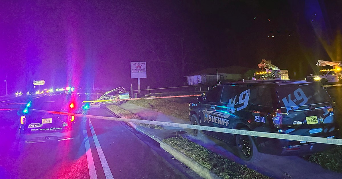 Armed suspect shot by Florida deputies after pursuit, crash in Marion ...