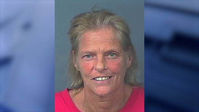 Property line dispute turns violent when Florida woman allegedly whacks neighbor with hammer, deputies say
