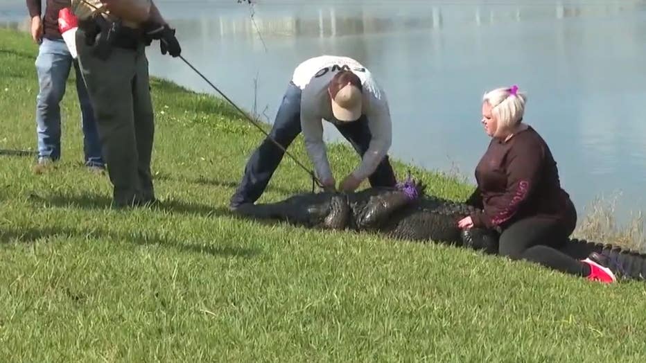 0f37236b-gator-lawsuit-4.jpg