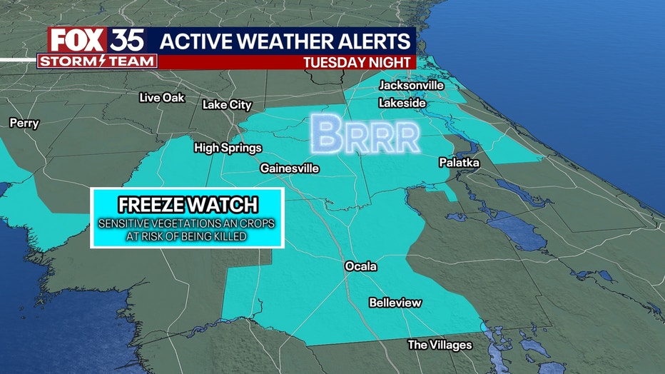 Freeze-Watch-Wednesday-morning.jpg