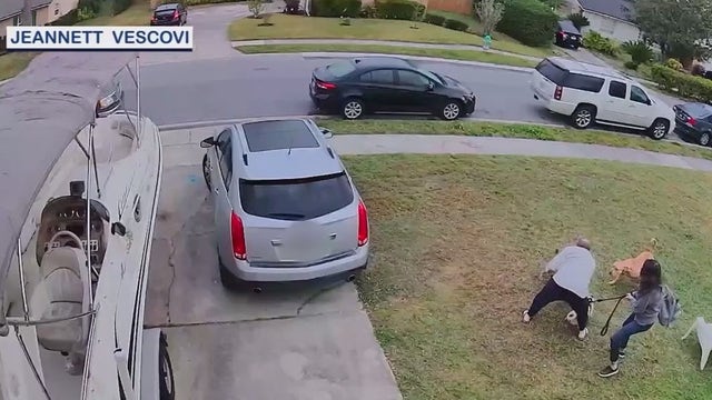 'Terrified!': Family, pet dog attacked by 2 other dogs