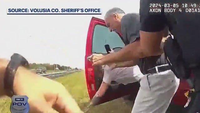 Florida Sheriff Mike Chitwood apprehends driver suspected of DUI